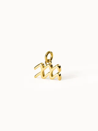 PURELEI Wassermann Zodiac Charm