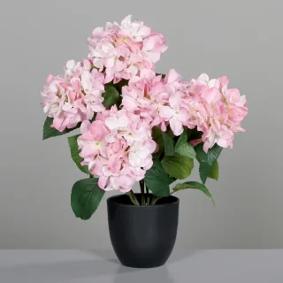 45 cm