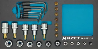 HAZET Steckschlüssel-Einsatz Satz TORX® Einlage 24-teilig - 163-192/24