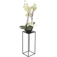 moebel-direkt-online Blumentisch Iris (In drei Farben lieferbar, In drei Höhen lieferbar), aus Metall