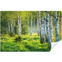 Wallarena Fototapete Natur - Mehrfarbig - Modern - Vlies - Wohnzimmer, glatt, 152x104cm