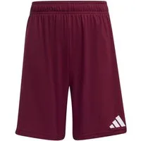 adidas Performance Trainingsshorts adidas Kinder Short Entrada 26 Shorts Y