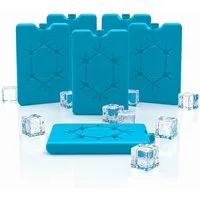 Spetebo Kühlakku Kühlakku flach 6er Set - 16 x 11 cm / 265 ml - Kühl Element, lebensmittelecht