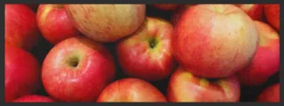 Küchenteppich Apfel 4368 | Größe: 75 cm x 120 cm