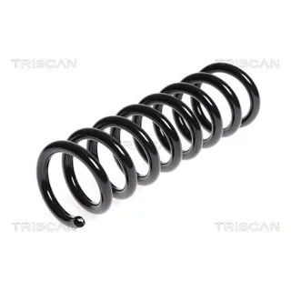 Triscan Feder hinten Mercedes C-Klasse W204
