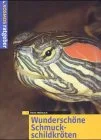 Wunderschöne Schmuckschildkröten