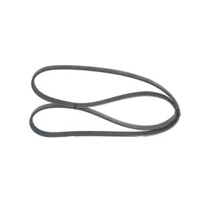 Bosch Keilrippenriemen Alfa Romeo Fiat Hyundai Kia Lancia