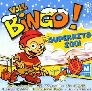 Voll Bingo! Superhits 2001
