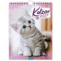 Trötsch Verlag Wandkalender TRÖTSCH - Notizkalender zum Hängen Katzen 2027