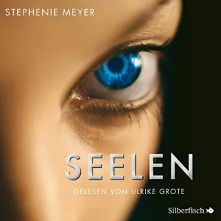 Seelen - Das Hörbuch zum Film (8 CDs)