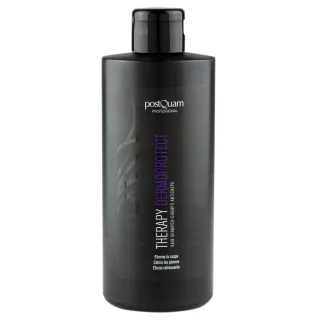 Shampoo Dermoprotect, für alle Haartypen - 400 ml