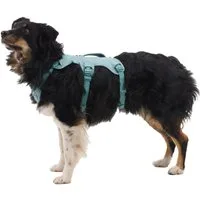 Ruffwear Hunde-Geschirr Web Master Harness