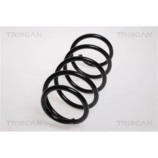 Triscan Feder vorne Opel Corsa D 875024135