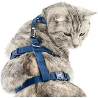 Beroni Sicherheitsgeschirr Katzengeschirr Safety Harness Classic ausbruchsicher verstellbar, Leine separat erhältlich, Katzen-Geschirr, für kleine und große Katzen
