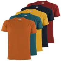 ALPIDEX Rundhalsshirt ALPIDEX T-Shirts Herren 5er Set Rundhals – in vielen Farben & Größen