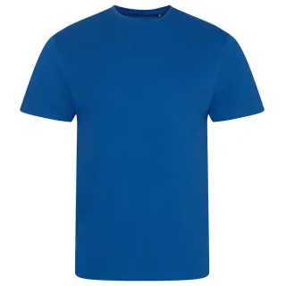 Ecologie - "Cascades" T-Shirt für Herren/Damen Unisex (Königsblau)