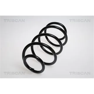 Triscan Feder vorne Mercedes Viano Vito 87502395