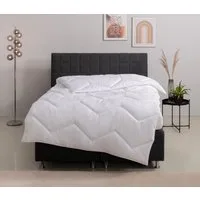 OTTO home Microfaserbettdecke Sartes, Bettdecke 135x200 cm, 155x220 cm, Füllung: Polyester, Bezug: Polyester, Bettdecken, Sommer, Decke, für Allergiker geeignet