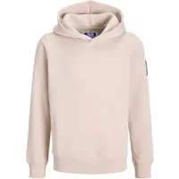 Jack & Jones Junior Sweatshirt Jjcleveland Sweat Hood Sn Jnr