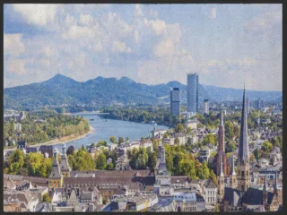 Fussmatte Bonn 4953 | Größe: 60 cm x 45 cm