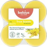 Bolsius Duftkerze Bolsius Duft-Teelichte Maxi 8 Stunden 8er Pack