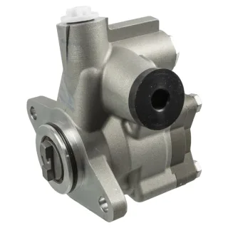 Febi Servopumpe  109013
