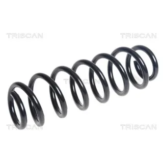 Triscan Feder hinten Audi A3 Seat Leon 875029467