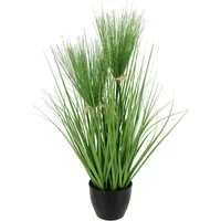 Kunstpflanze Zyperngras im Topf, I.GE.A., Höhe 53 cm