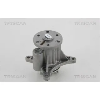 2 Triscan Gasfedern F?r Heckklappe Mercedes Viano Vito