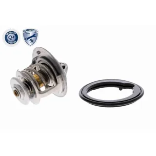 Ackoja Thermostat + Dichtung Ford Honda Rover Volvo