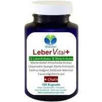 VitalLeben LeberVital Komplex 12 Kräuter & Bitterstoffe mit Cholin Ohne Zusätze - Kapseln, 1 er Dose à 120 St., 57,6 g, Art. 26454-120