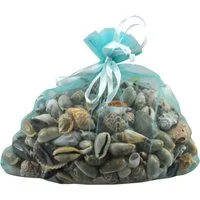 Forchtenberger Puzzle & Spiele Dekoobjekt Muscheln