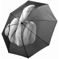 Goods+Gadgets Taschenregenschirm Goods+Gadgets Taschenregenschirm – Lustiger Mittelfinger Regenschirm, Stinkefinger Schirm 100 cm