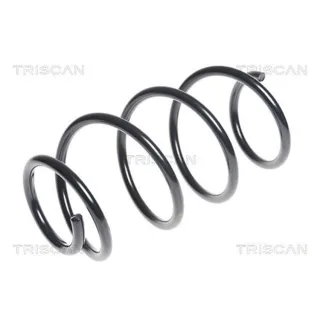 Triscan Feder vorne Hyundai I30 87504382