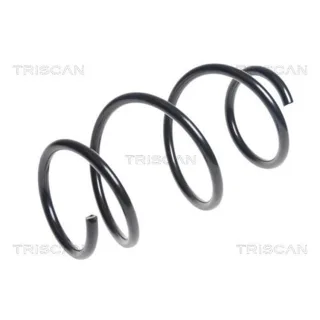 Triscan Feder vorne BMW 1er F20 F21 875011145