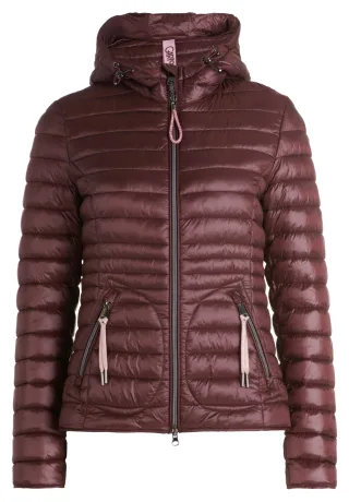CARTOON - Steppjacke decadent chocolate - Gr. - 36
