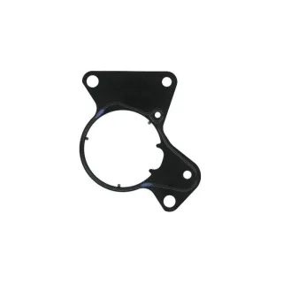 Elring Dichtung f?r Kraftstoffpumpe VW