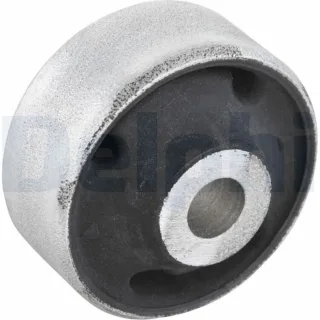 Delphi Querlenkerlager Audi Seat Skoda VW TD287W
