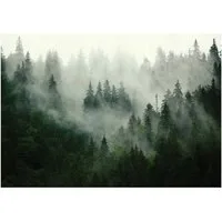 Wallarena Fototapete Wald Vlies Bäume Natur Grün Schlafzimmer, Wohnzimmer 200x140 cm, glatt, 200 x 140 cm