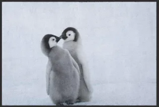 Fussmatte Pinguin 4812 | Größe: 60 cm x 45 cm