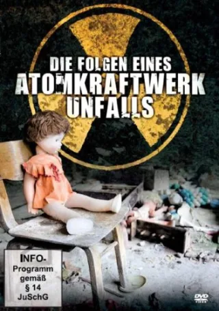 Die Folgen eines Atomkraftwerk Unfalls