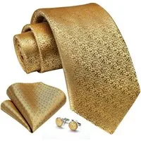 LuxusKollektion Krawatte Krawatte Paisley Hochzeit Einstecktuch Gold Einheitsgröße