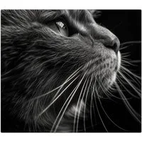 Primedeco Herd-Abdeckplatte Herdabdeckplatte Spritzschutz aus Glas Nahaufnahme Katze, Glas, (1 tlg)