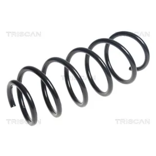 Triscan Feder vorne Fiat Fiorino Qubo