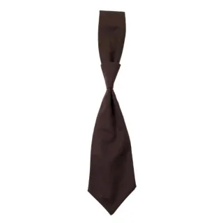 CG Workwear - "Messina" Krawatte (Schokolade)