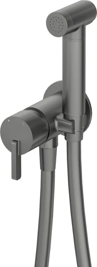 Neuesbad Serie 600 Bidetarmatur, Unterputz, mit Bidet-Handbrause, Oberfläche: Titanium NB1BQS_D34M1