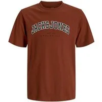 Jack & Jones Junior T-Shirt JJECALEB VARSITY TEE S/S O-NECK MNI