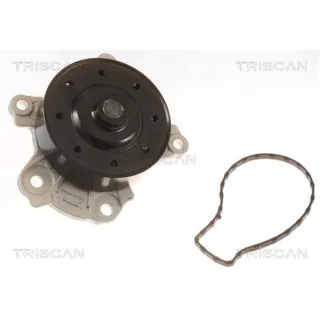 2 Triscan Gasfedern F?r Heckklappe Ford Fiesta Mazda 121 III