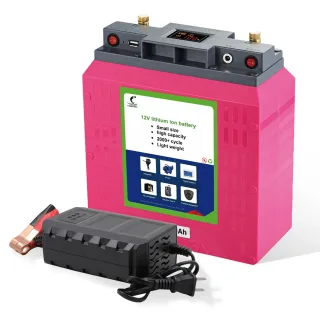 [EU Direct] KWMThunder 12V 100Ah Lithium-ion Polymer Battery With Charger, Max Depth Cycle 2500 Cycles With USB, for RV