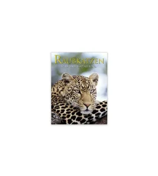 Raubkatzen: Wild und faszinierend [Gebundene Ausgabe] [2006] Briggs Mike Briggs Peggy